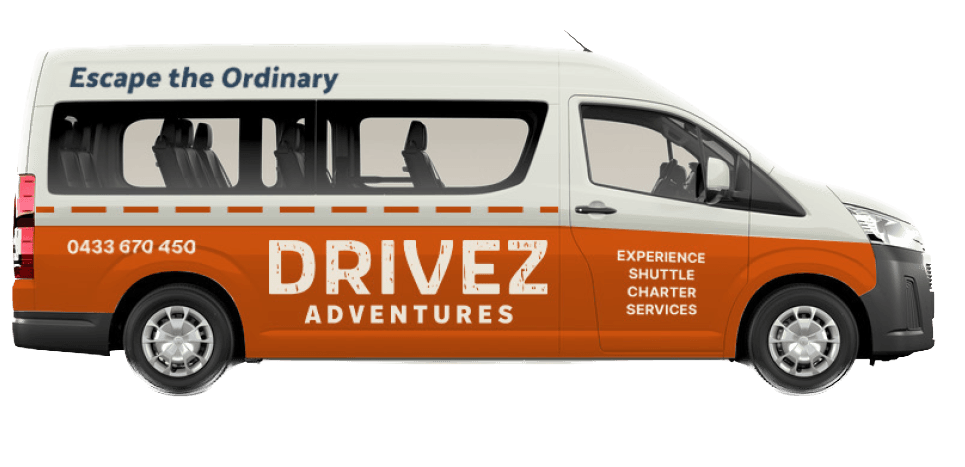 drivez minivan
